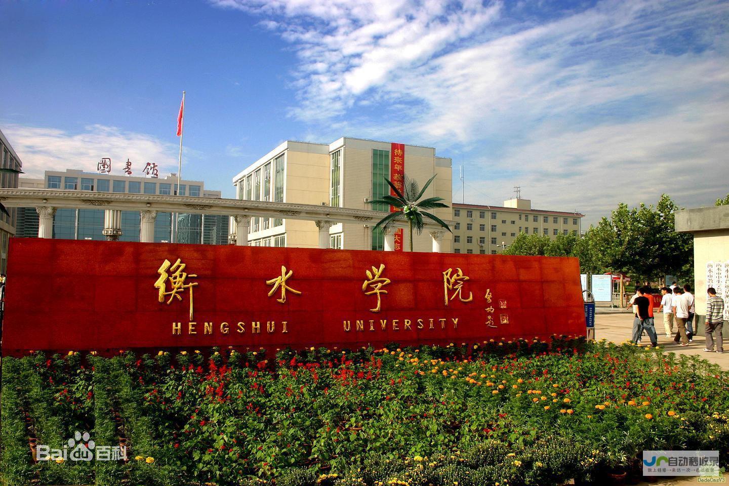 衡水专业网站建设服务：从设计到推广，全方位满足您的企业网络需求！