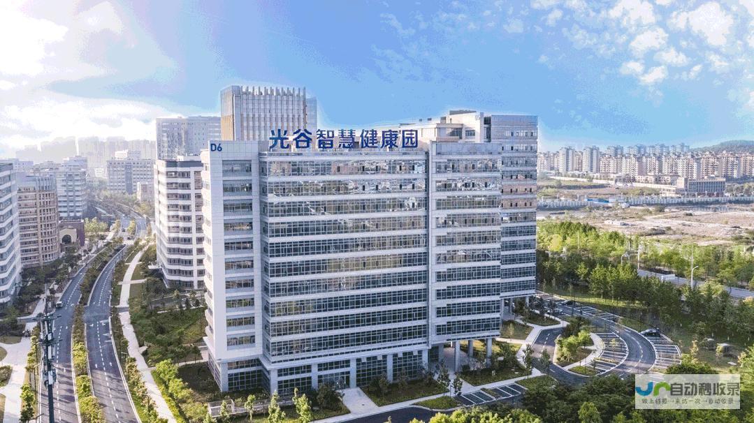 光谷网站建设：打造企业线上形象，提升品牌价值，引领市场新机遇