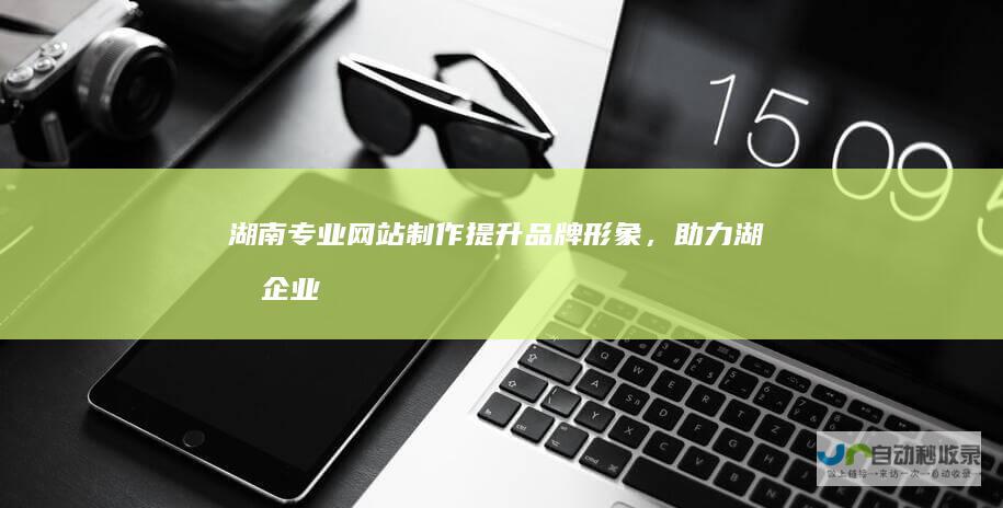 湖南专业网站制作：提升品牌形象，助力湖南企业数字化转型