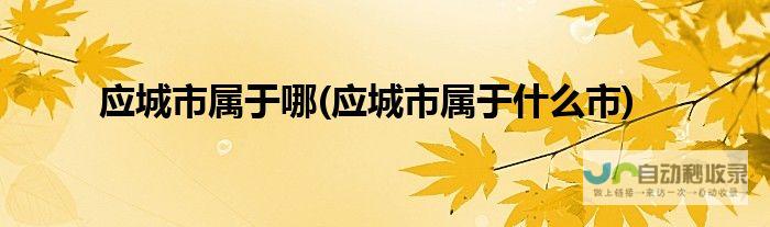 应城网 - 应城本地资讯的权威平台，连接你与应城的方方面面。