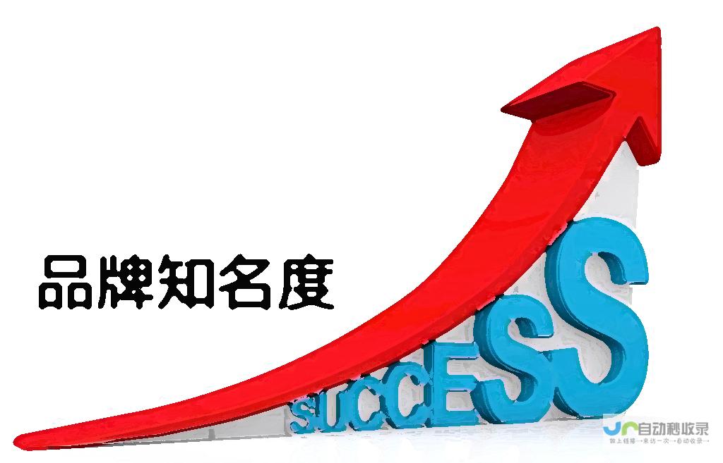 提升品牌影响力，推动业务增长：专业营销网站建设服务