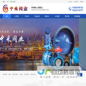 中采阀业（天津）有限公司